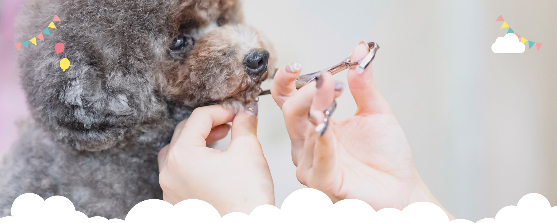 トリミング・ケア・サロン Lovely Dog
